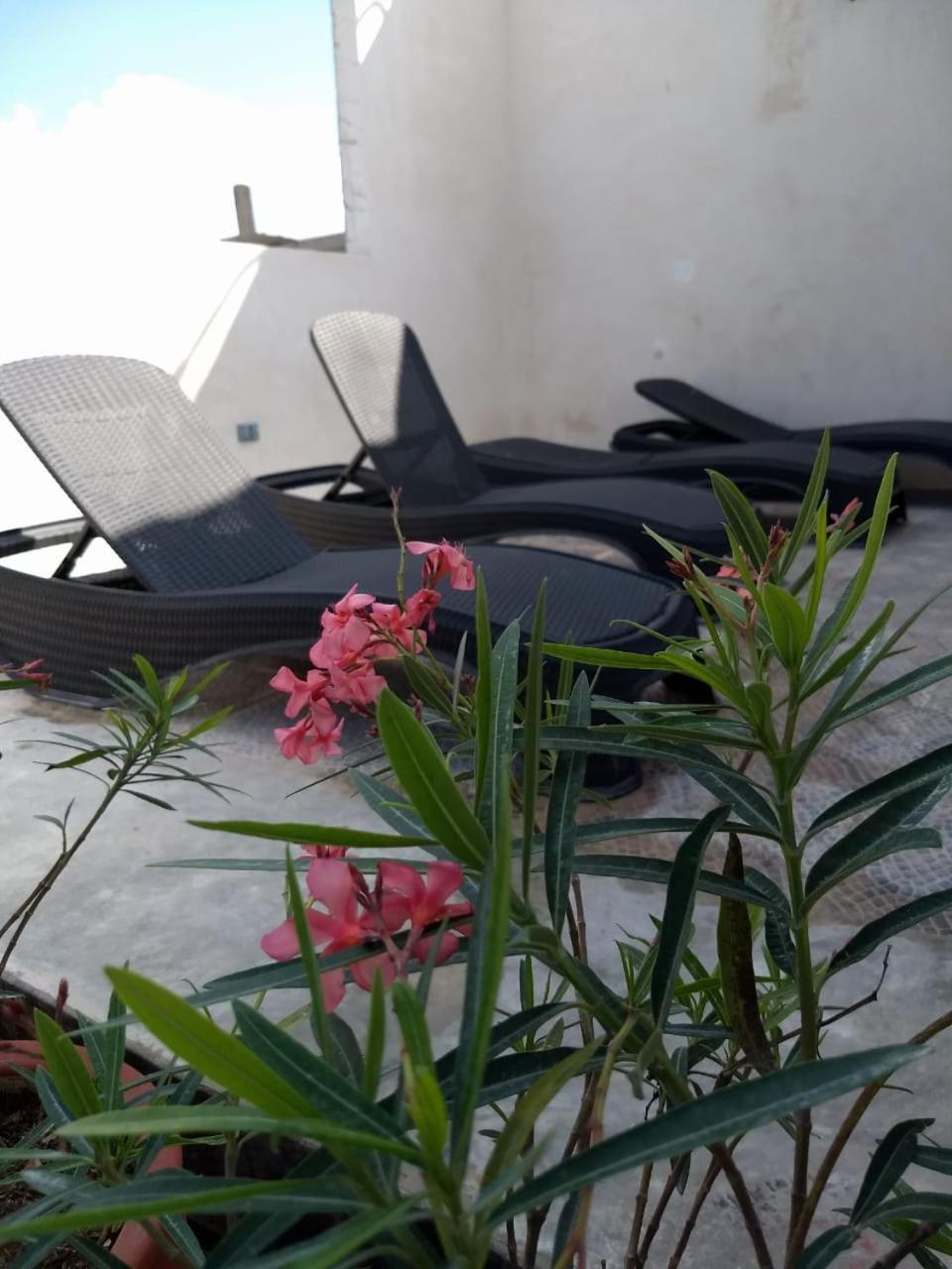 Sol-Ha Tulum Hotel Boutique Kültér fotó
